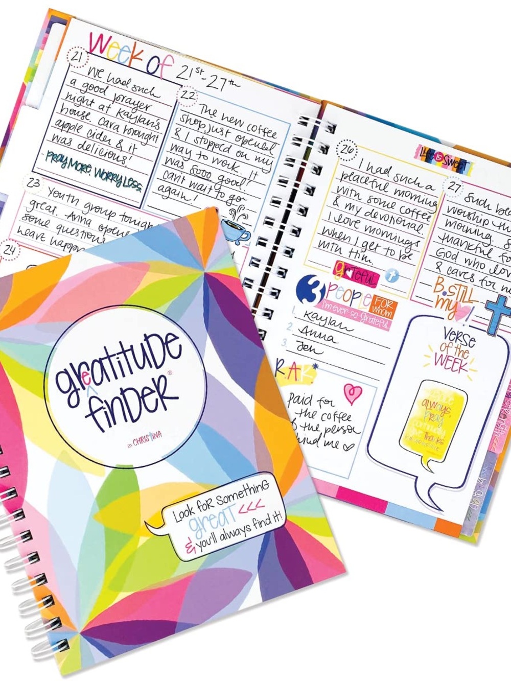 Denise Albright Studio Gratitude Finder Journal